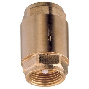 Spring Check Valve 1/2" BSP Female