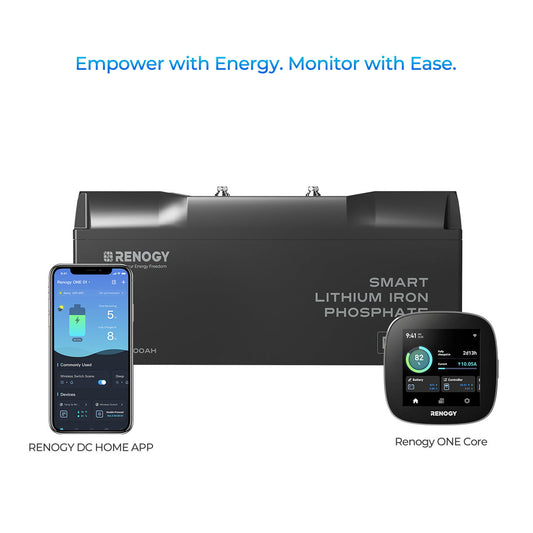 Pro-12V 200Ah Deep Cycle Lithium Iron Phosphate Battery w/Bluetooth & Self-heating Function