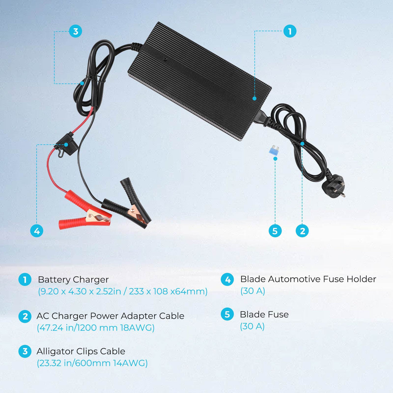 20A 240V AC to DC Lithium Iron Phosphate Battery Charger