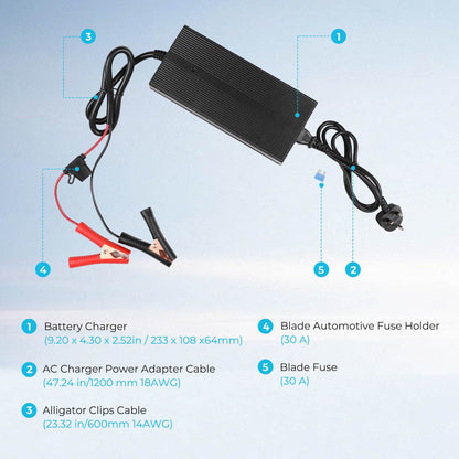 20A 240V AC to DC Lithium Iron Phosphate Battery Charger