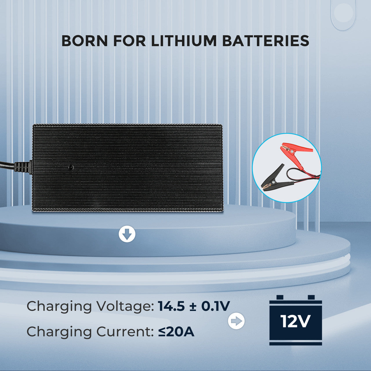 20A 240V AC to DC Lithium Iron Phosphate Battery Charger