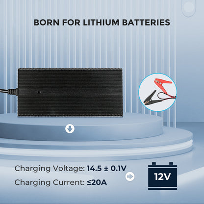 20A 240V AC to DC Lithium Iron Phosphate Battery Charger