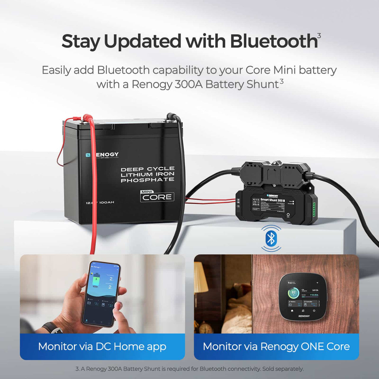 Core Mini- 12.8V 100Ah Lithium Iron Phosphate Battery
