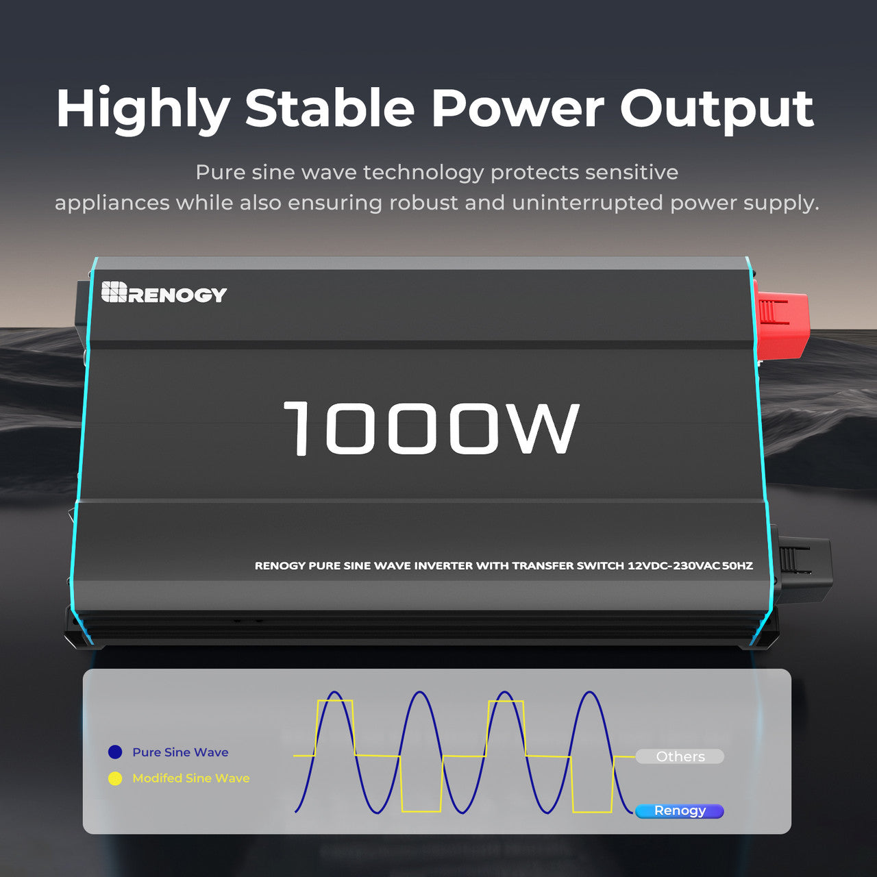 12V 1000W Pure Sine Wave Inverter with UPS Backup