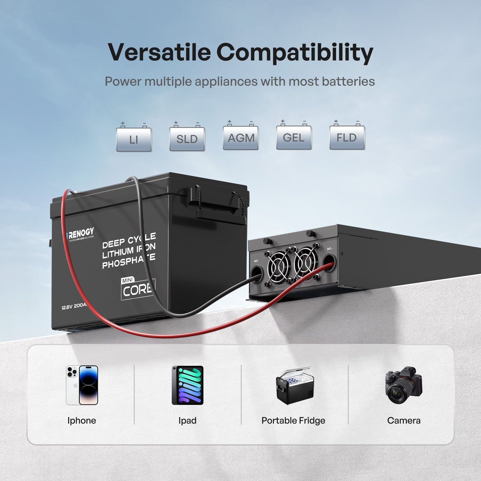 12V 2000W Pure Sine Wave Inverter  With Transfer Switch
