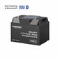 Pro-12V 100Ah Deep Cycle Lithium Iron Phosphate Battery w/Bluetooth & Self-heating Function